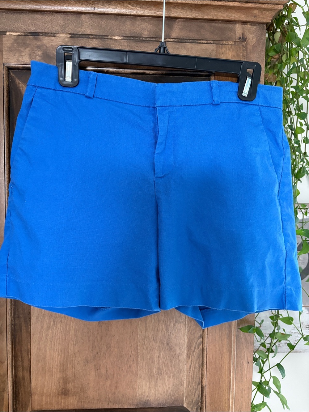 Banana Republic Royal Blue Flat-Front Men's Shorts